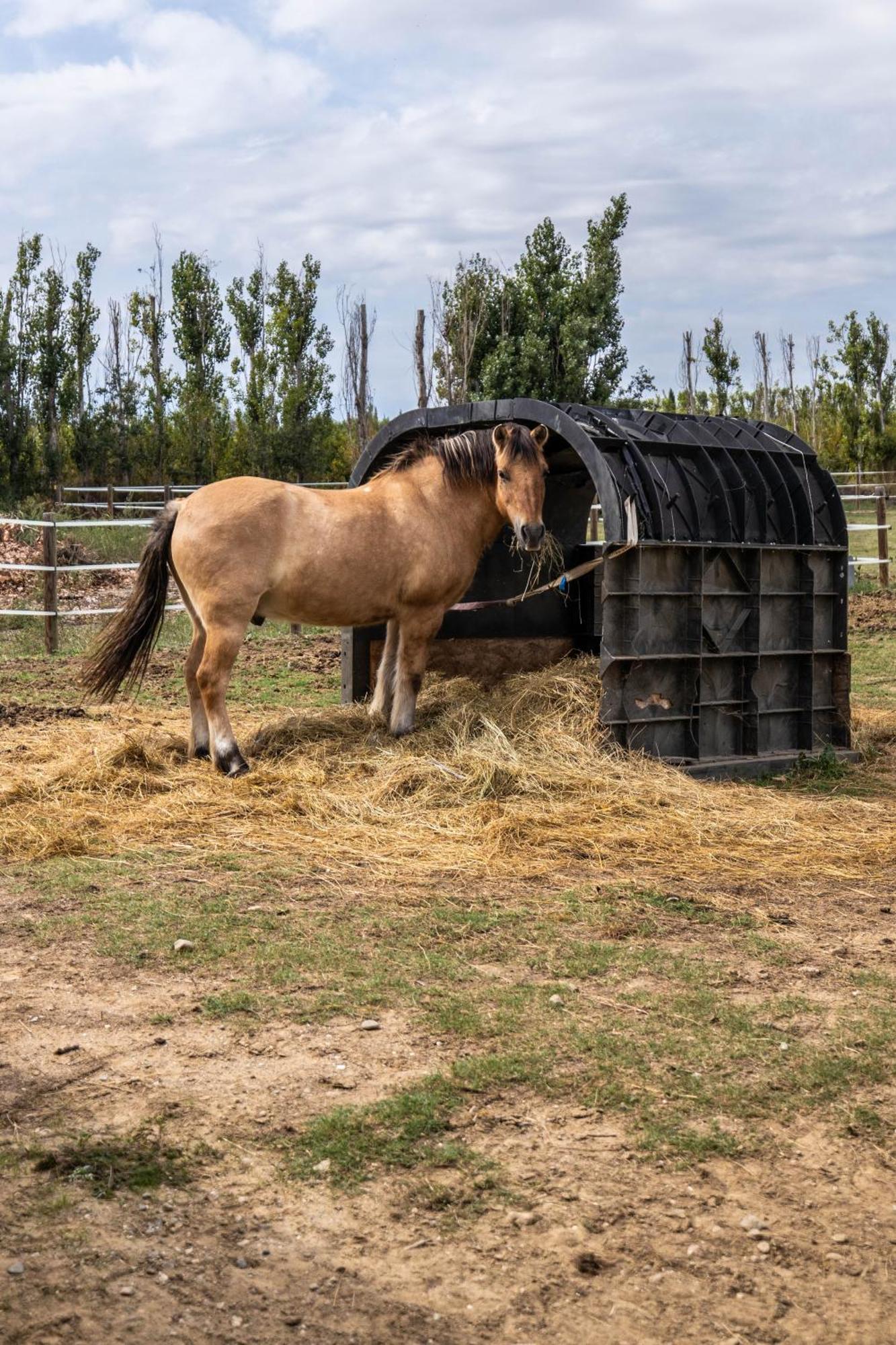 Gîtes du Castell de Blés Saint-Génis Esterno foto