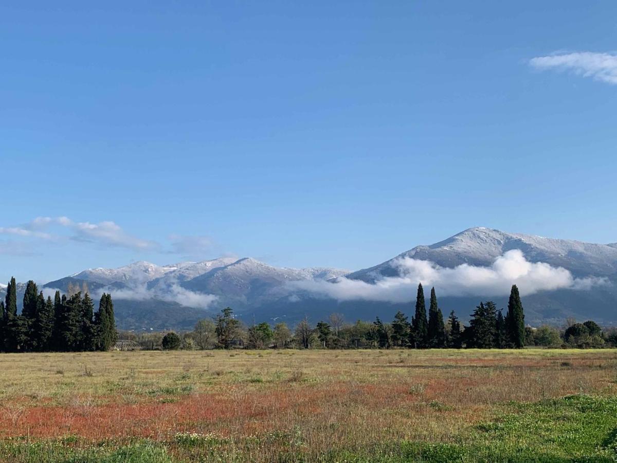 Gîtes du Castell de Blés Saint-Génis Esterno foto