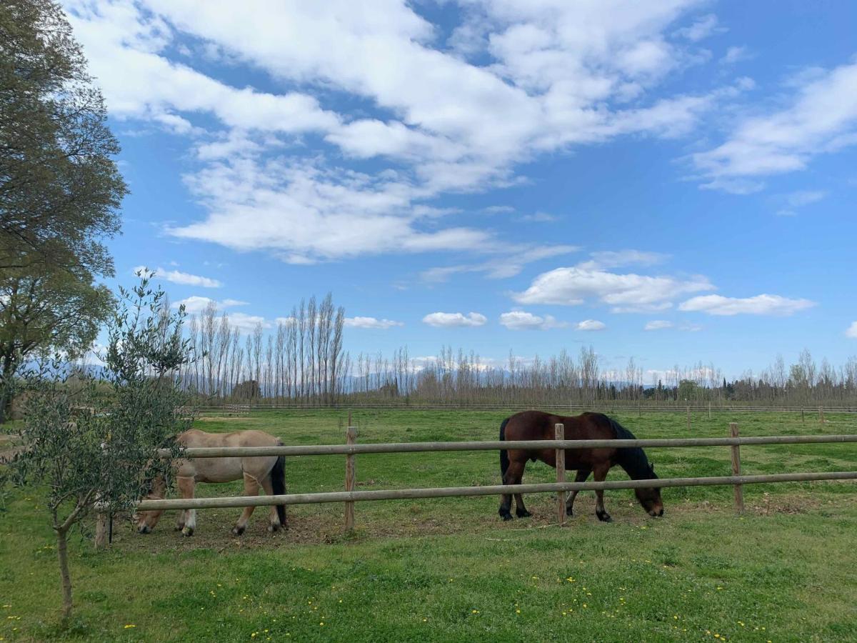 Gîtes du Castell de Blés Saint-Génis Esterno foto